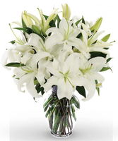 White Lily with Glass Vase